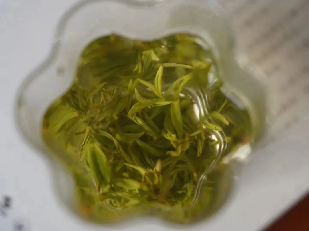 为健康加分_身体有话对你说解读健康_身体健康加分